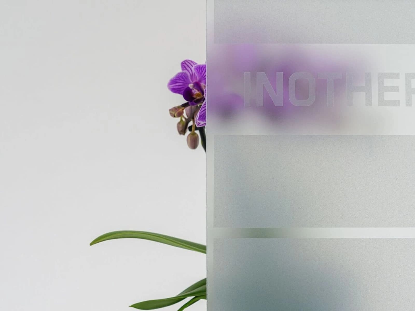 Verglasungsvarianten für Inotherm Haustüren – satiniert & klar